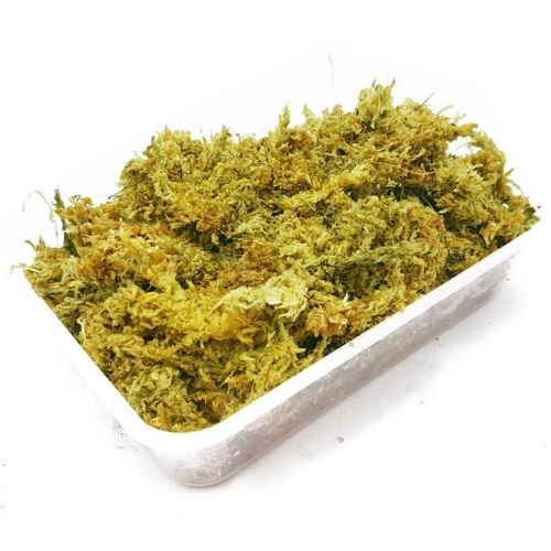 Repti-Zoo Chile's Sphagnum moss - track moss 4.5l