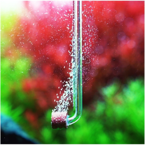 Chihiros Nano CO2 Diffuser Tiny - acrylic CO2 diffuser
