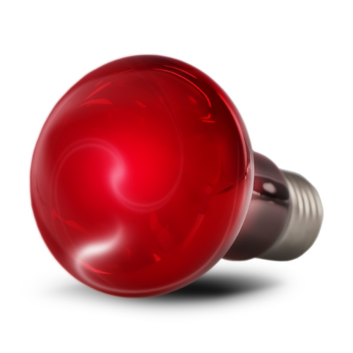 Resun Infrared Spot Lamp 25W - infrared bulb