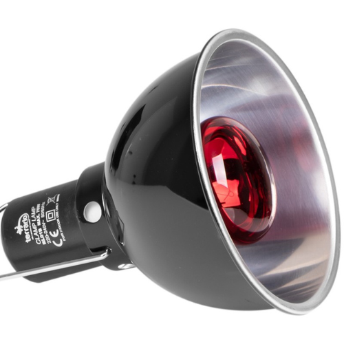 Terrario Biosphere Light - holder for heating bulbs