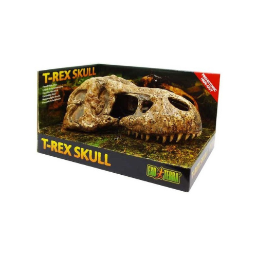 EXO TERRA T-Rex Skull (dinosaur skull)