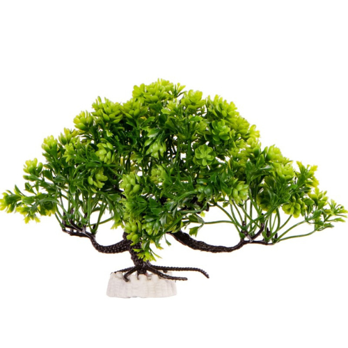 Kruger Meier Plant Zen Bosai - artificial plant