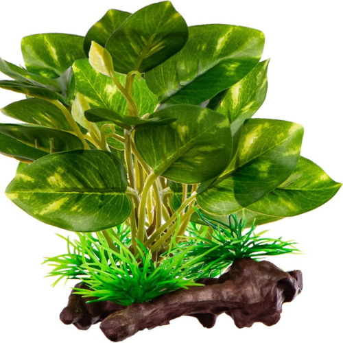 Kruger Meier Plant Ficus Root - artificial plant