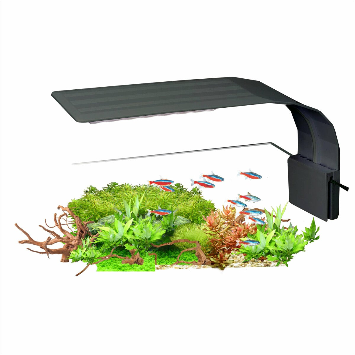 AquaLED Nano Black 7W lempa Happet