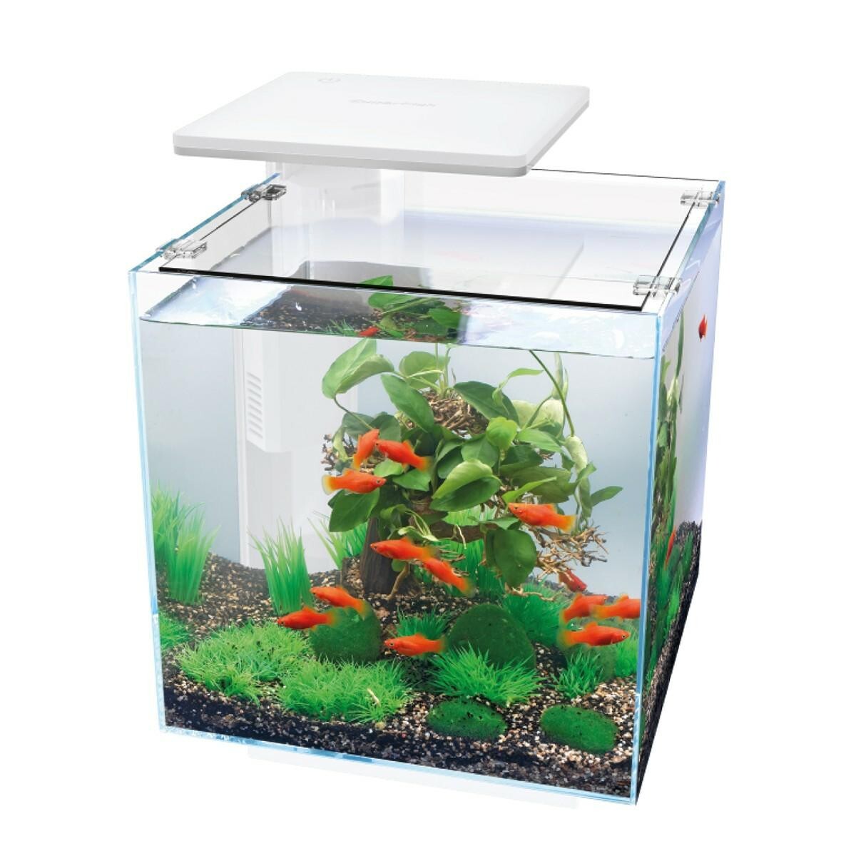 Akvariumas QB-30 LED Hailea White