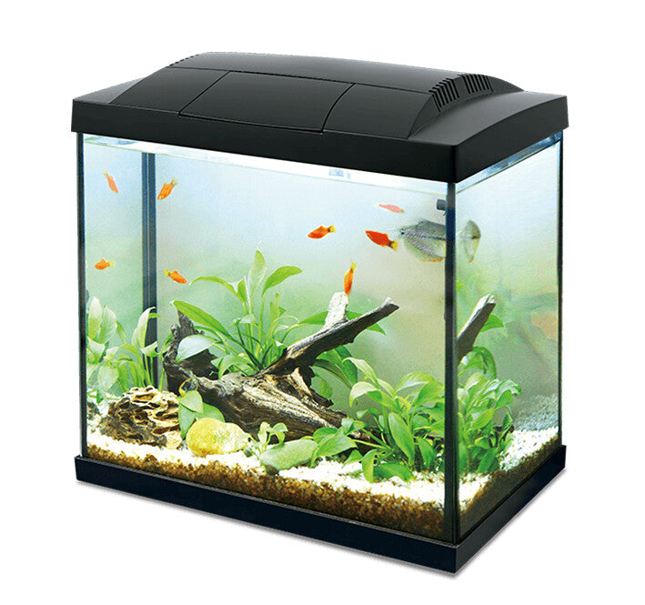 K30 Hailea akvariumas, 30 l juodas