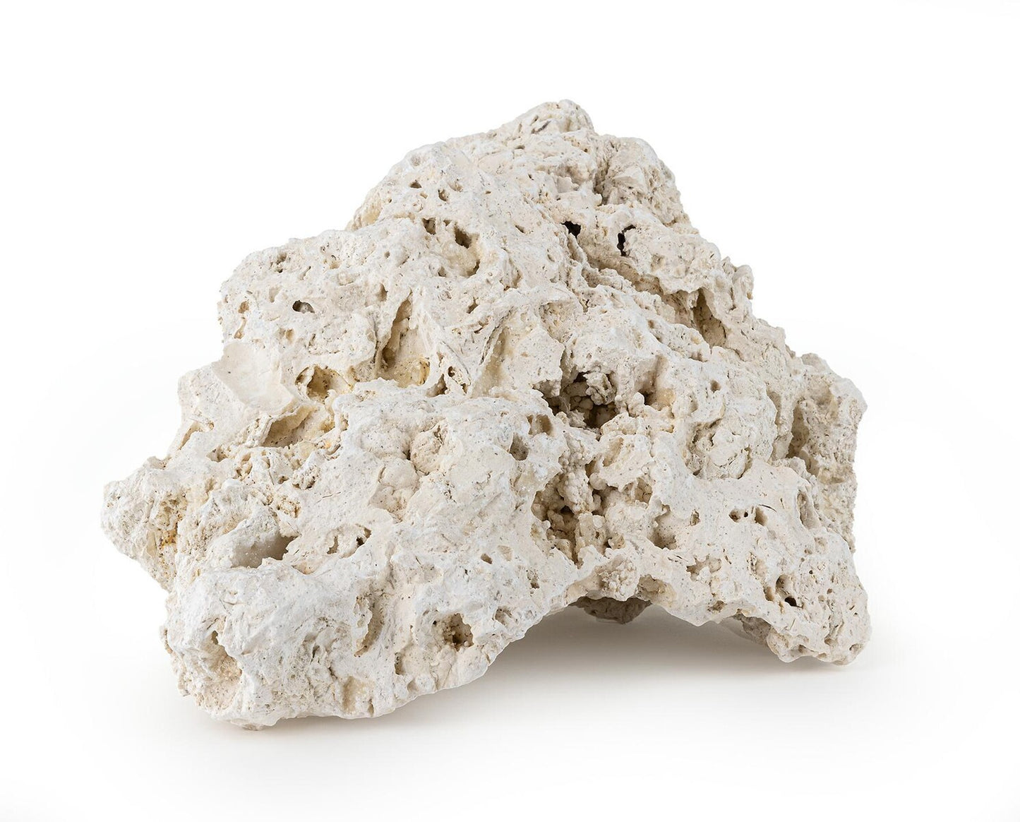 REEF ROCK XL 25-35 cm 1kg