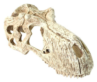 Komodo T-Rex Skull Large