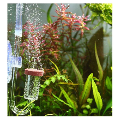 Chihiros Nano CO2 Diffuser L - acrylic CO2 diffuser