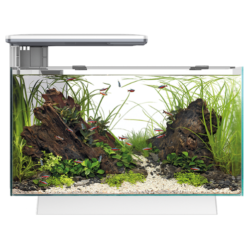 Quadro 40 Pro White