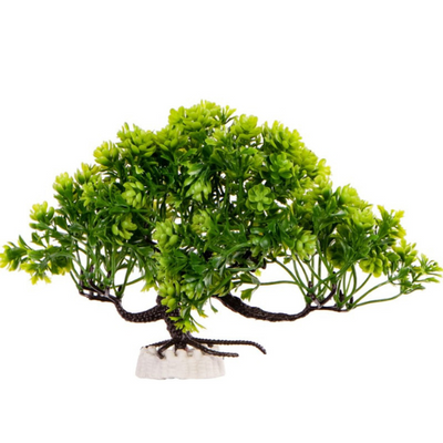 Kruger Meier Plant Zen Bosai - artificial plant