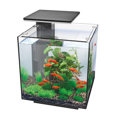 Akvariumas QB-30 LED Hailea Black