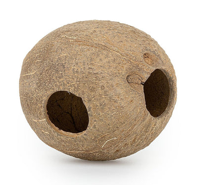 Coconut shell full brushed Happet