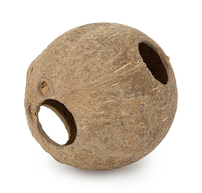 Coconut shell full brushed Happet
