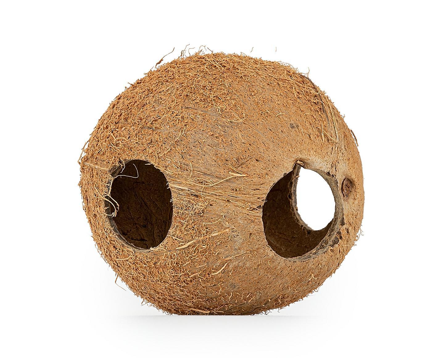 Coconut shell full unbrushed Happet