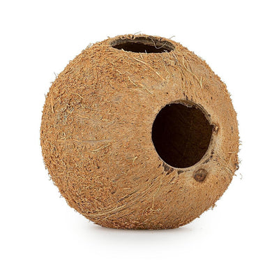 Coconut shell full unbrushed Happet