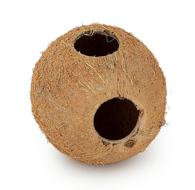 Coconut shell full unbrushed Happet