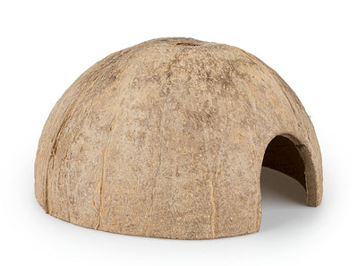 Coconut shell half brushed Happet