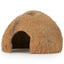 Coconut shell half unbrushed