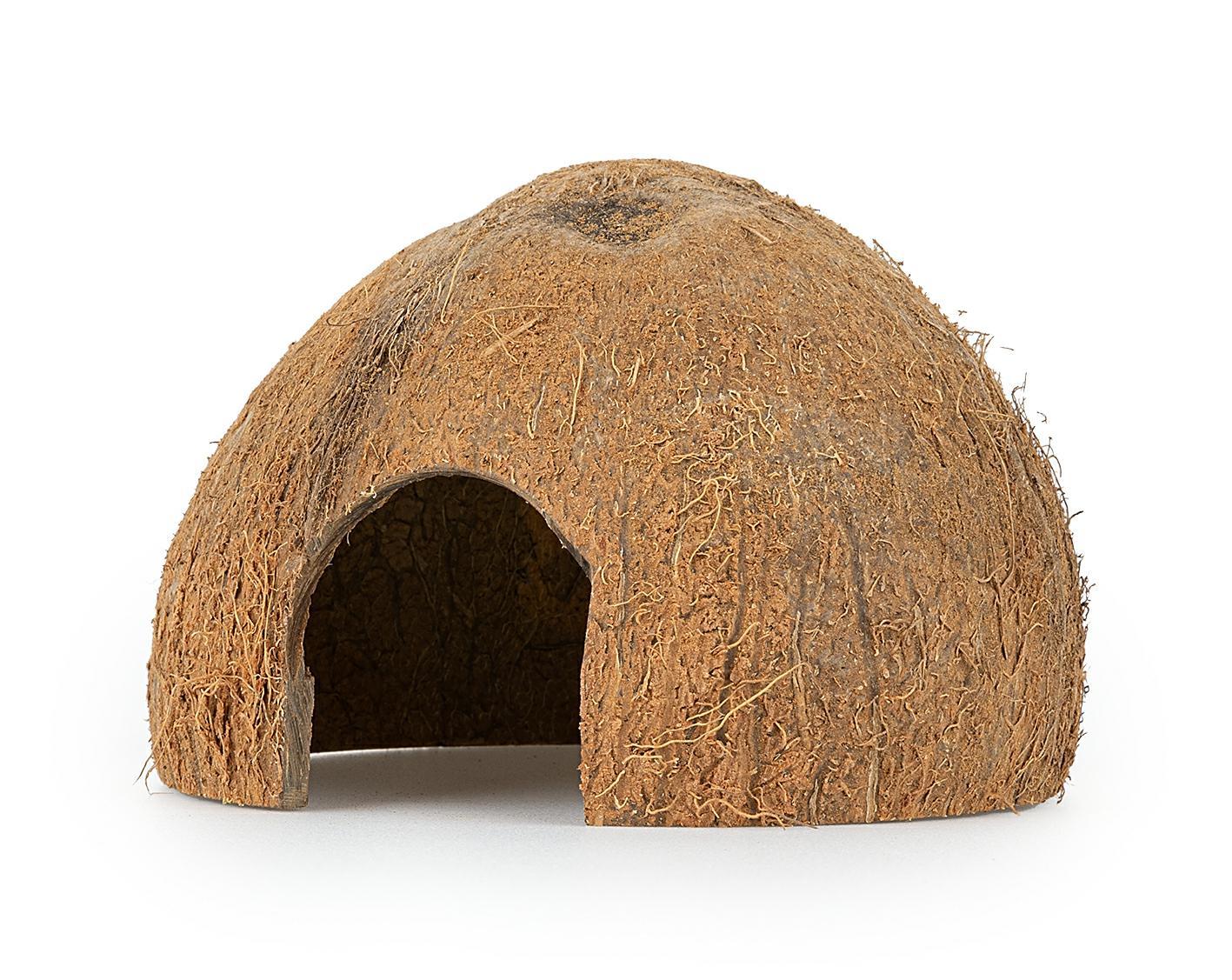 Coconut shell half unbrushed
