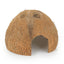 Coconut shell half unbrushed