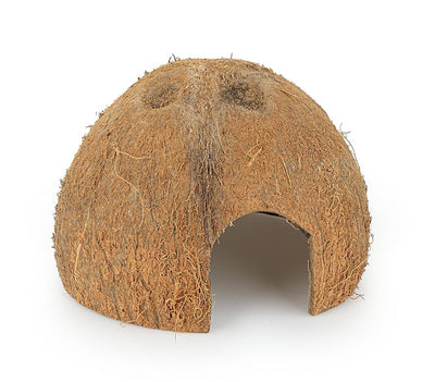 Coconut shell half unbrushed