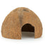 Coconut shell half unbrushed