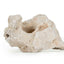 Drilled limestone 8-14 cm Happet, piece