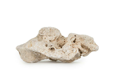 Drilled limestone 8-14 cm Happet, piece