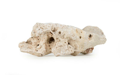 Drilled limestone 8-14 cm Happet, piece