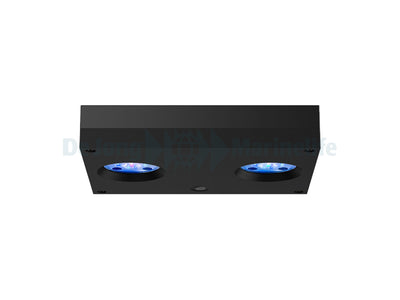 Hydra 32 HD LED - Black (incl EU 220V cable)