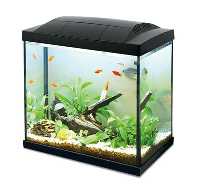 K30 Hailea akvariumas, 30 l juodas 