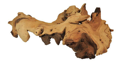Mopani šaknis L dydis 50-60cm, Happet