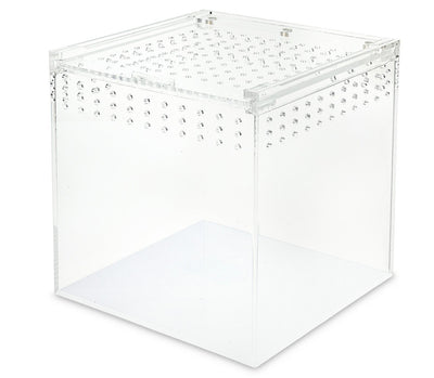 Acrylic terrarium  20x20x20cm