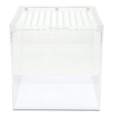 Acrylic terrarium  20x20x20cm