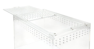 Acrylic terrarium 30x20x15cm